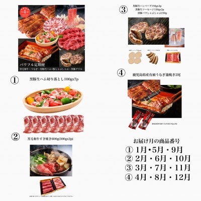 【全4回定期便】鹿児島自慢豚・牛・うなぎ パワフル定期便(Z050-530)
