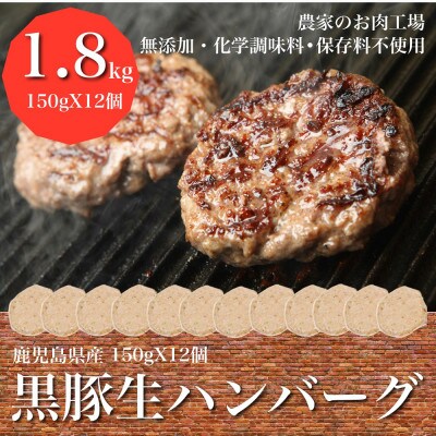 鹿児島県産黒豚生ハンバーグ12個(A-404)