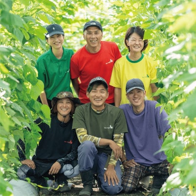 【2026年1月中旬～発送】さや付きそら豆約2kg～冬～(A-206)