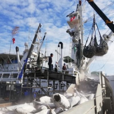 かつおのトロ「鰹腹皮燻製」5本入り4袋セット(A-411) | 鹿児島県