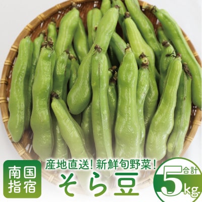 2025年3月上旬頃~発送【産地直送!新鮮旬野菜!】ご家庭用そら豆約5kg(A-414)