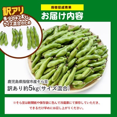 【2027年 発送】【産地直送!新鮮旬野菜!】ご家庭用そら豆約5kg(IB092-005)