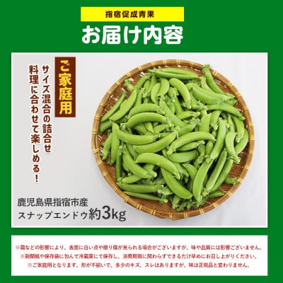 【2027年 発送】【産地直送!新鮮旬野菜!】ご家庭用スナップエンドウ約3kg(IB092-004)