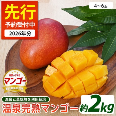 【2026年 発送】温泉完熟マンゴー 約2kg(044-1767)