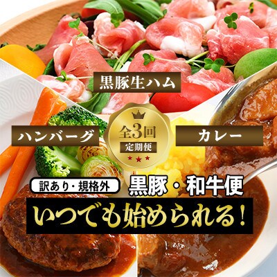 【全3回定期便】訳アリ増量!黒豚・和牛・アウトレットお得定期便2(Z030-596)
