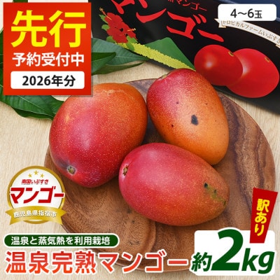 󂠂聄nNo鉷ƏCM𗘗p͔|򊮏n}S[ 2kg(033-1766)