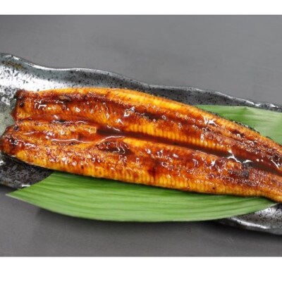 【のし付き】【お中元ギフト】指宿温泉で育てた鰻の蒲焼(無頭背開き)約165g×2尾(B-043c)