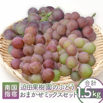 指宿産ぶどうのおまかせミックスセット約1.5kg(A-428)
