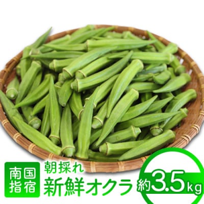 【2025年7月上旬～発送】夏の元気の源! 朝採れ新鮮いぶすきオクラ約3.5kg(A-429)