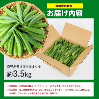 【2026年 発送】夏の元気の源! 朝採れ新鮮いぶすきオクラ約3.5kg(IB092-002)