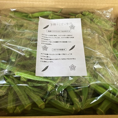 【2025年7月上旬～発送】夏の元気の源! 朝採れ新鮮いぶすきオクラ約3.5kg(A-429)