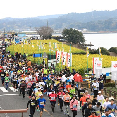いぶすき菜の花マラソン出走参加権1名様分 F 016 お礼品詳細 ふるさと納税なら さとふる いぶすき菜の花マラソン出走参加権1名様分 F 016 お礼品詳細 ふるさと納税なら さとふる
