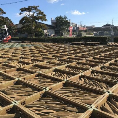 【敬老の日ギフト】一本釣鰹本枯節「こころ節」削り節2種と粉末パウダー1種セット(A-270)