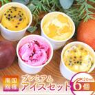 ゴロゴロ果肉入りプレミアムアイス6個セット(013-1212)
