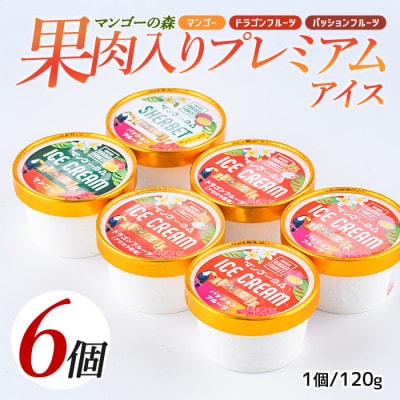 ゴロゴロ果肉入りプレミアムアイス6個セット(013-1212)