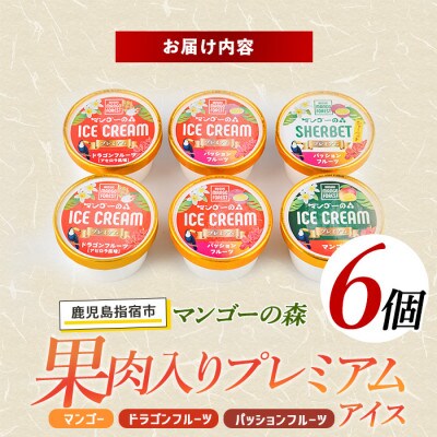 ゴロゴロ果肉入りプレミアムアイス6個セット(013-1212)