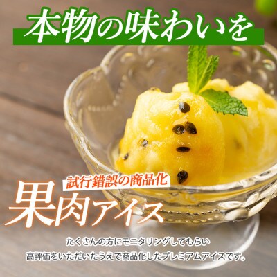 ゴロゴロ果肉入りプレミアムアイス6個セット(013-1212)