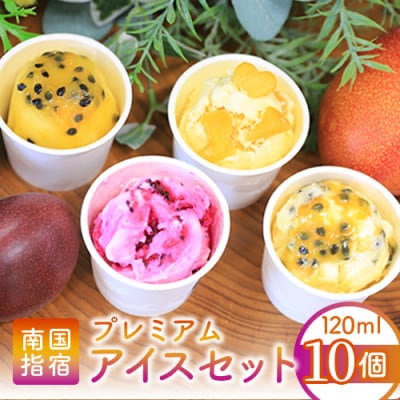 ゴロゴロ果肉入りプレミアムアイス10個セット(022-1211)