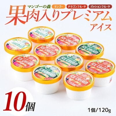 ゴロゴロ果肉入りプレミアムアイス10個セット(022-1211)