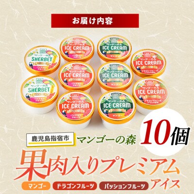 ゴロゴロ果肉入りプレミアムアイス10個セット(022-1211)