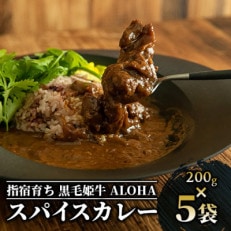 指宿育ち 黒毛姫牛 ALOHA スパイスカレー200g×5袋セット(019-1266)