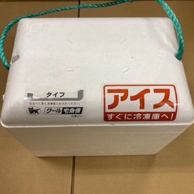 指宿南国アイスクリーム7個入り(マンゴー果肉入り3個・そら豆2個・びわ2個)(010-174)