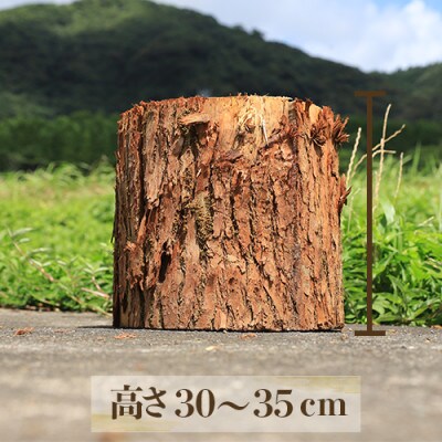 指宿市の間伐材等で作ったスウェーデントーチ(大)(010-227)