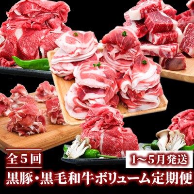 【全5回定期便】黒豚・黒毛和牛ボリューム定期便(Z050-237)