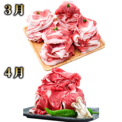 【全5回定期便】黒豚・黒毛和牛ボリューム定期便(Z050-237)