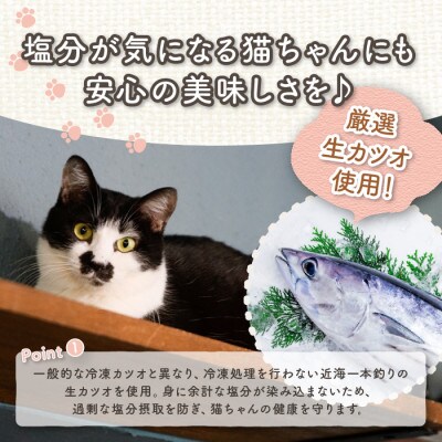 【ペットフード】猫用かつお節40袋(糸けずり)鹿児島県指宿市産鰹節使用(010-278)