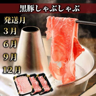 【全3回定期便】うなぎ・黒豚・黒毛和牛 鹿児島極み贅沢セット いつからでも定期便(Z030-242)