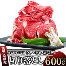 鹿児島県産黒毛和牛5等級切落し600g(012-286)