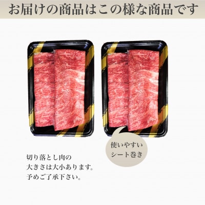 鹿児島県産黒毛和牛5等級切落し600g(013-1291)