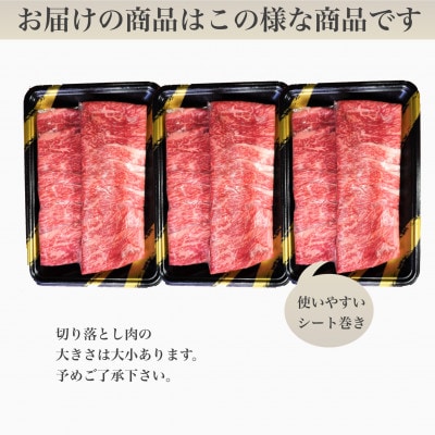 鹿児島県産黒毛和牛5等級切落し900g(016-1292)