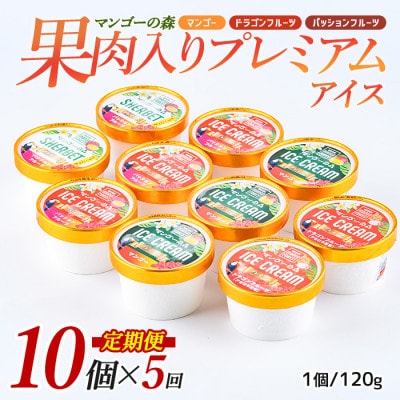 【全5回定期便】ゴロゴロ果肉入りアイス10個入定期便(Z100-290)