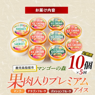 【全5回定期便】ゴロゴロ果肉入りアイス10個入定期便(Z100-290)