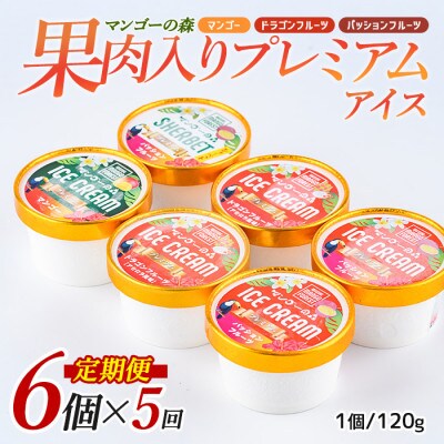 【全5回定期便】ゴロゴロ果肉入りアイス6個入定期便(Z060-291)