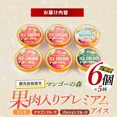 【全5回定期便】ゴロゴロ果肉入りアイス6個入定期便(Z060-291)