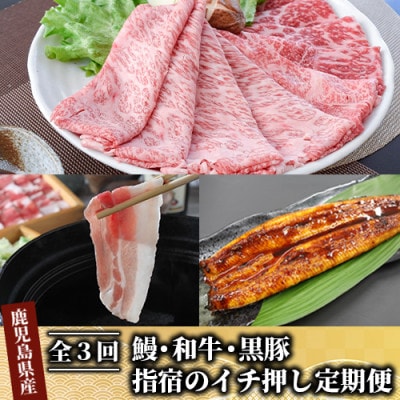 【全3回定期便】鰻・和牛・黒豚 指宿のイチ押し定期便(Z055-294)