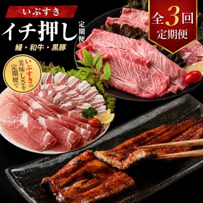 【全3回定期便】鰻・和牛・黒豚 指宿のイチ押し定期便(IBZ999-001)
