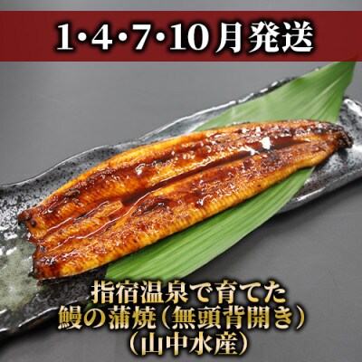【全3回定期便】鰻・和牛・黒豚 指宿のイチ押し定期便(Z055-294)