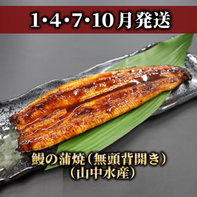 【全3回定期便】鰻・和牛・黒豚 指宿のイチ押し定期便(Z055-294)