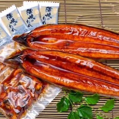 【新生活ギフト】鹿児島産 鰻蒲焼2尾・きざみうなぎ2袋セット(C-041n)