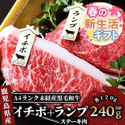 【新生活ギフト】A4ランク未経産黒毛和牛 イチボ+ランプステーキ各120g(011-126n)