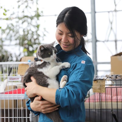 【ペットフード】猫用かつお節40袋(花けずり20袋・糸けずり20袋)指宿市産鰹節(010-352)