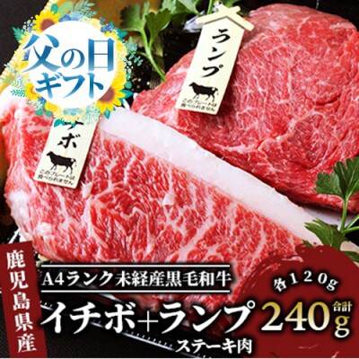 【父の日ギフト】A4ランク未経産黒毛和牛イチボ+ランプステーキ各120g(011-126f)