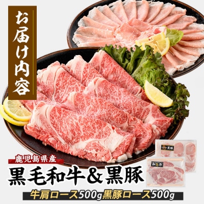 【鹿児島県産】黒毛和牛・黒豚スライスセット1kg(022-1109)