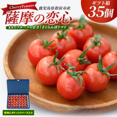 【鹿児島県指宿市産】さくらんぼトマト 薩摩の恋心 35個入 010-373 ぷちぷよ ミニトマト