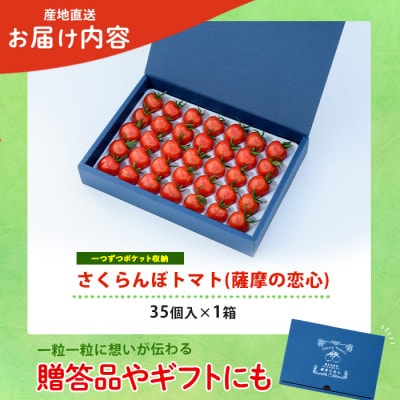 【鹿児島県指宿市産】さくらんぼトマト 薩摩の恋心 35個入 010-373 ぷちぷよ ミニトマト