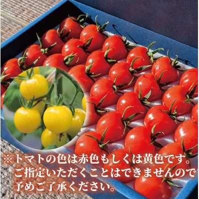 【鹿児島県指宿市産】さくらんぼトマト 薩摩の恋心 35個入(010-373)